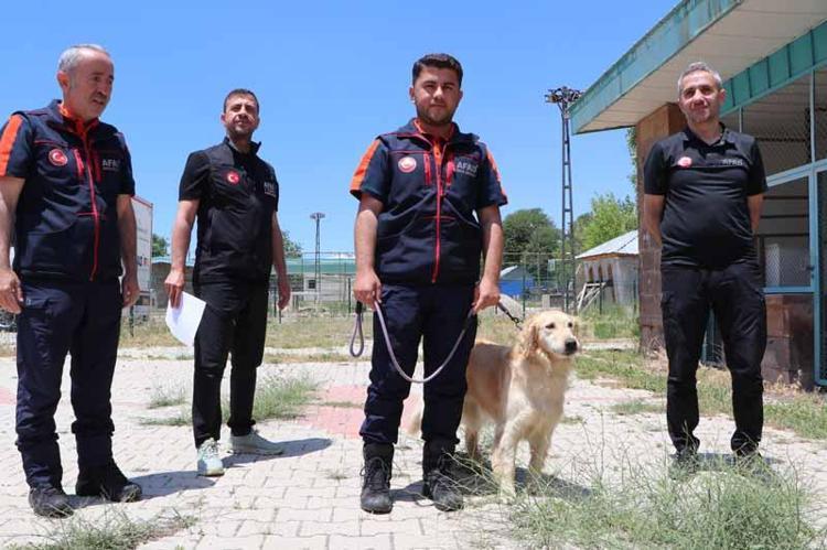 BİR ŞANS DAHA VERDİK