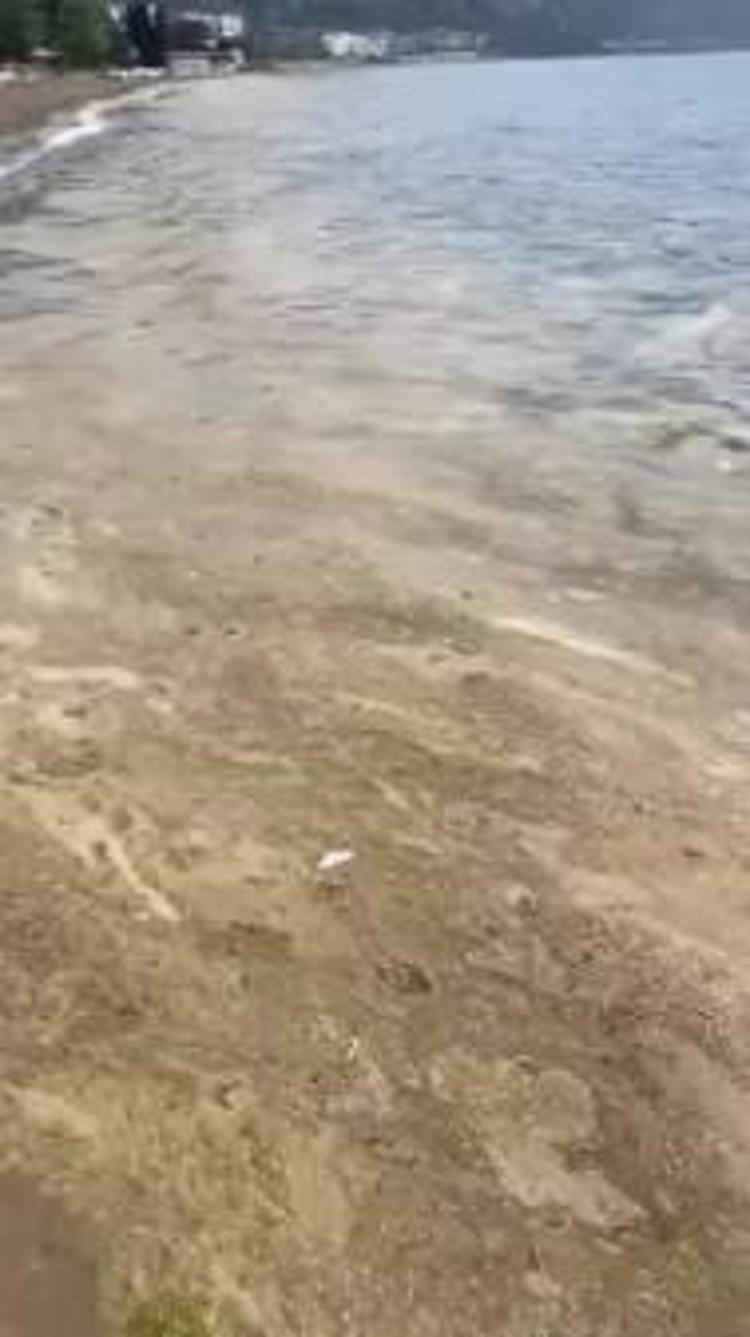 MÜSİLAJIN VARLIĞI ZATEN BELİRLİ BÖLGELERDE DEVAM EDİYOR