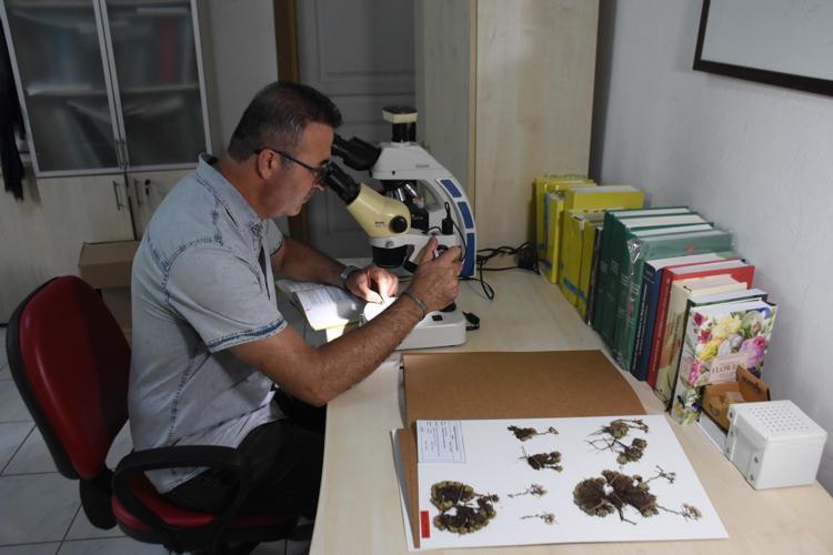 DÜLGÜL DAĞINA HAS ENDEMİK SAYISI 8 OLDU