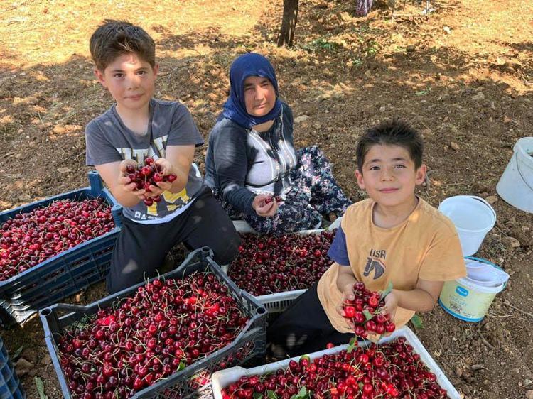 BU ORTADAKİ PARAYI KİM KAZANIYOR