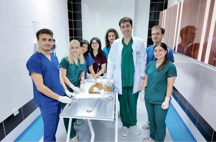 CİDDİ AĞRI YAŞIYORDU