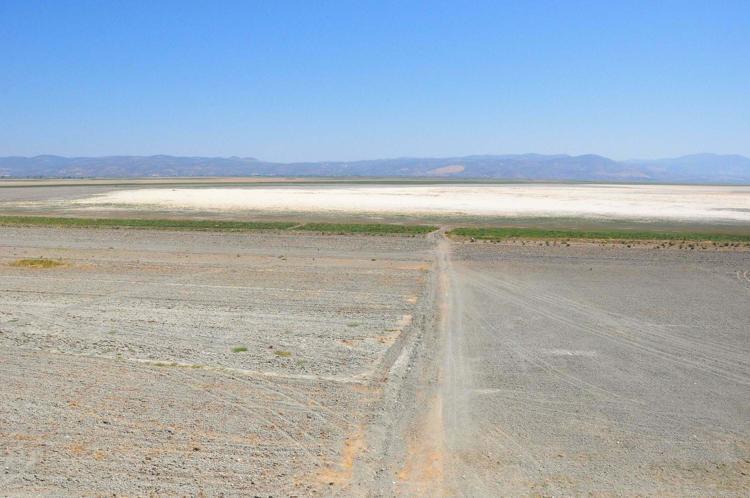 GÖLDE 400E YAKIN KUŞ TÜRÜ YENİDEN GÖRÜLMEYE BAŞLADI