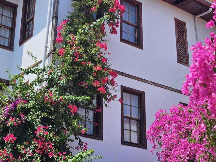 EN YOĞUN TALEP KALEİÇİNE