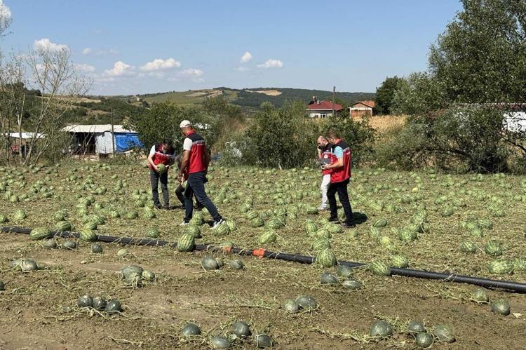 GEREKENİ YAPACAĞIZ