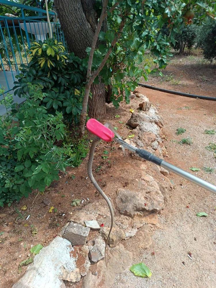 PENCERELER UYGUN ÖRTÜYLE KAPALI TUTULMALI