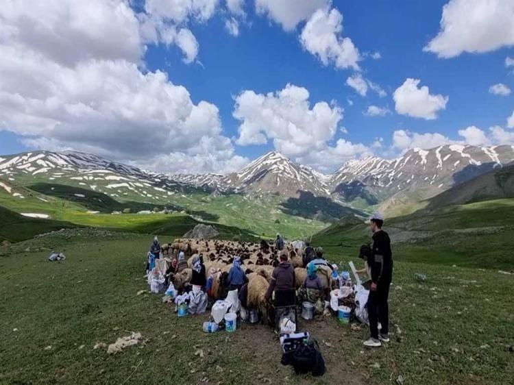 DAVRANIŞ TESTLERİNİ MART AYINDA TAMAMLADIK