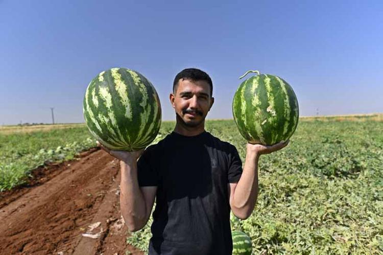 ‘DİYARBAKIR KARPUZU KALİTELİDİR’
