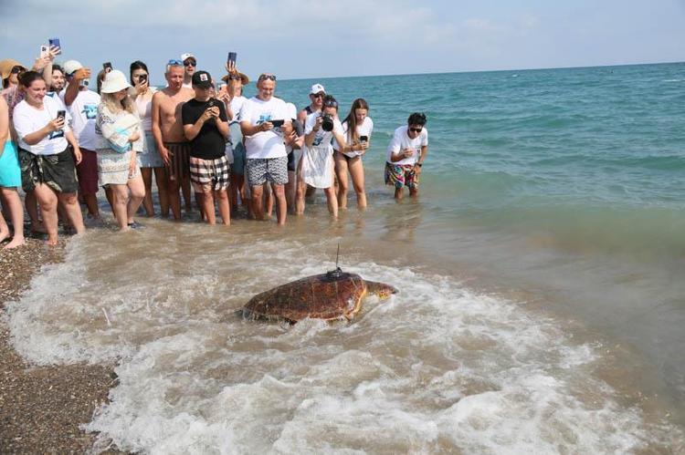 TOPLAM 9 CARETTA İZLENİYOR