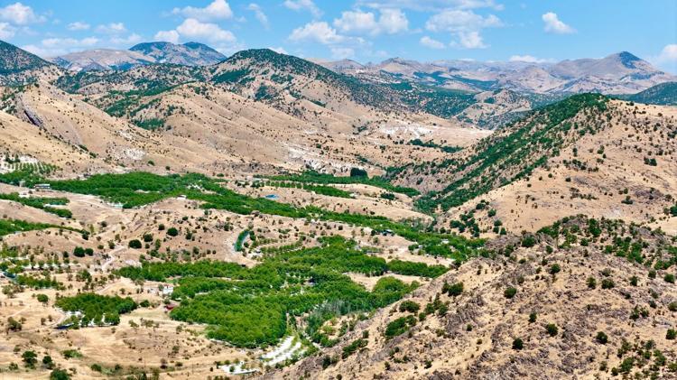 ‘HEM EVİMİZE HEM TÜRKİYE EKONOMİSİNE DESTEK OLUYORUZ’