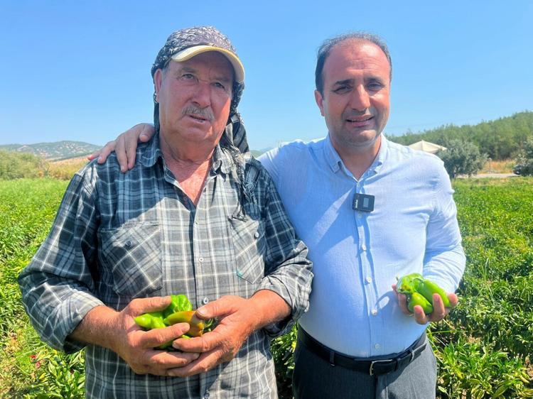 ACILIĞI MİDEYE ZARAR VERMEZ