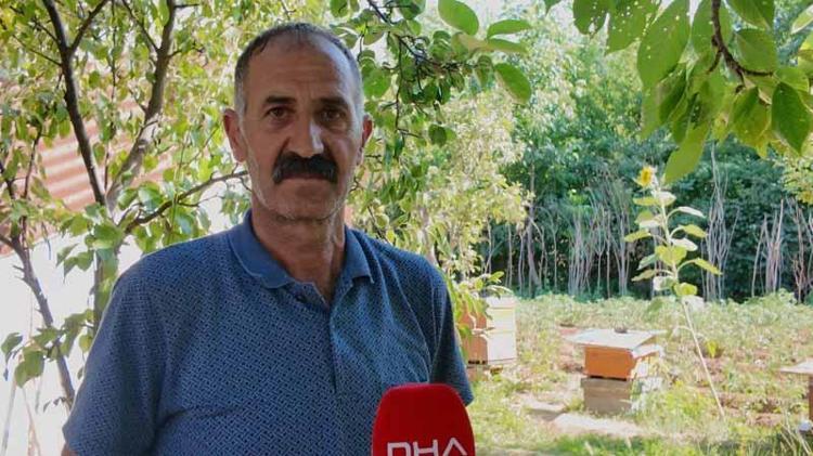 MUZ YİYEN ARI DAHA GÜZEL ÇALIŞIYOR