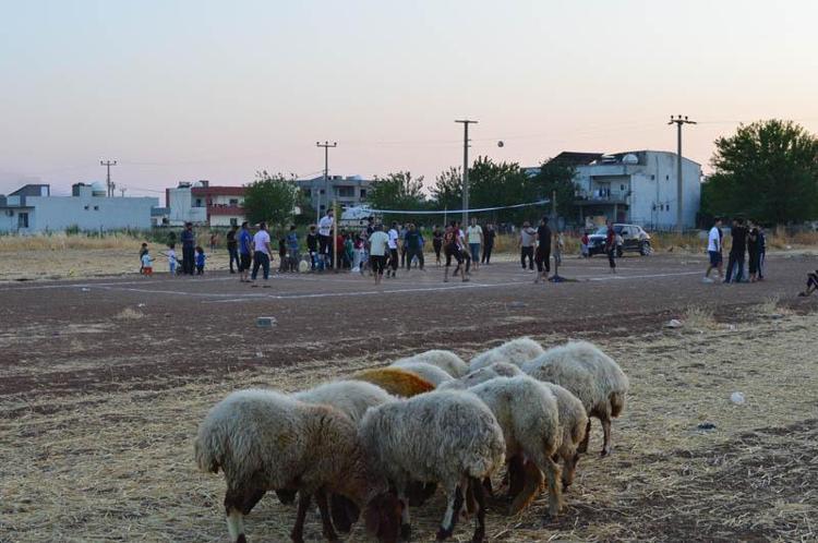 HER GÜN VOLEYBOL OYNUYORUZ