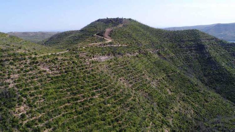 KÜLLERİNDEN YENİDEN DOĞAN MANAVGAT
