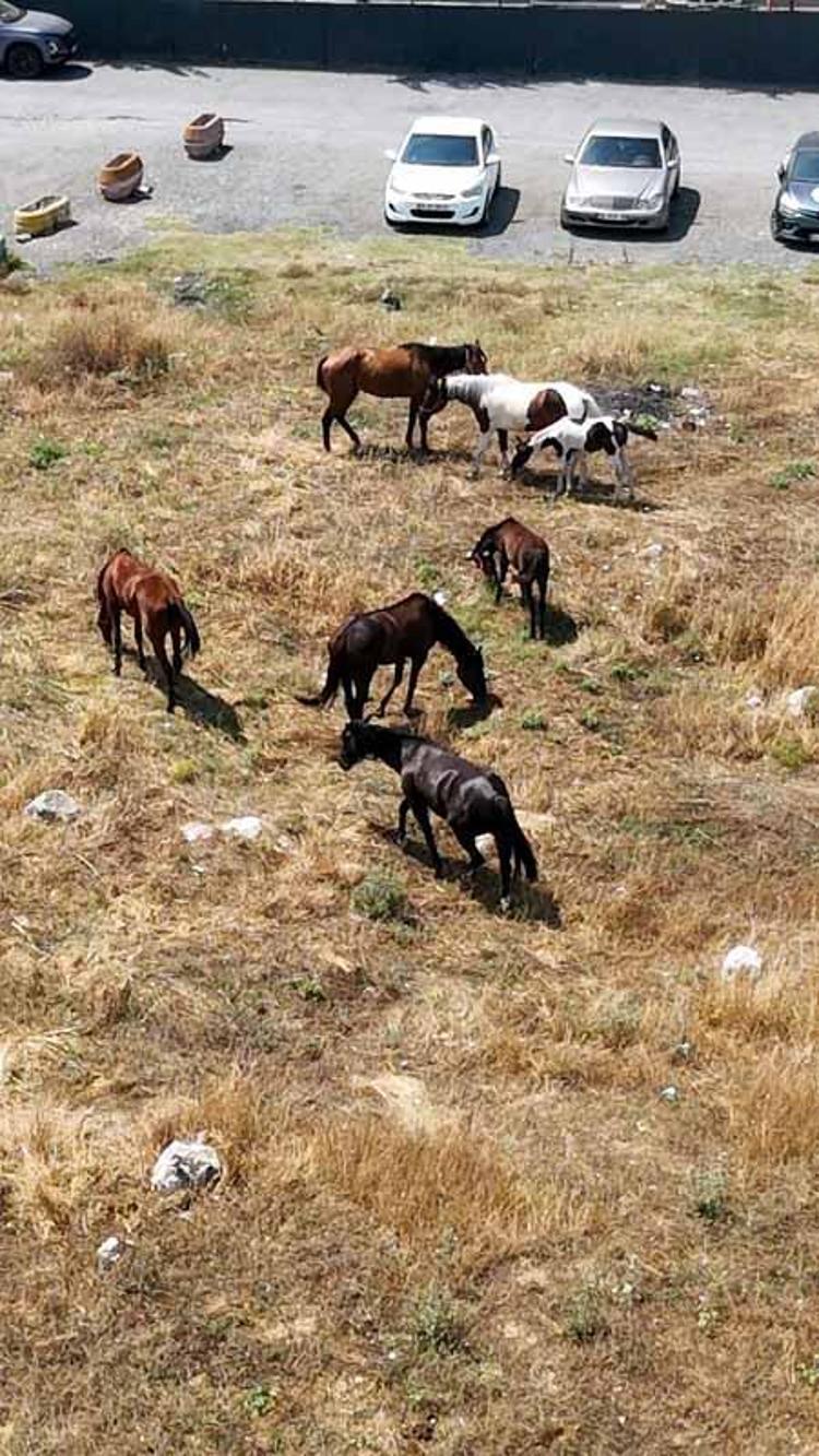 KAPIYI AÇTIĞI ANLAR KAMERADA