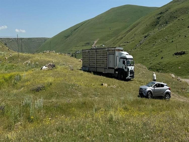 ‘340 KOVANI TEK BİR TIR DORSESİNDE TOPLADIK’