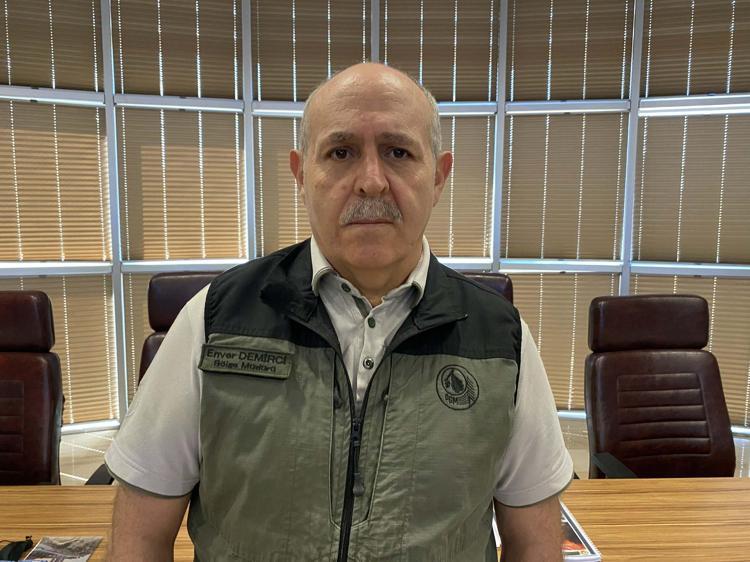 ZARAR GÖREN ALANLAR AĞAÇLANDIRILDI