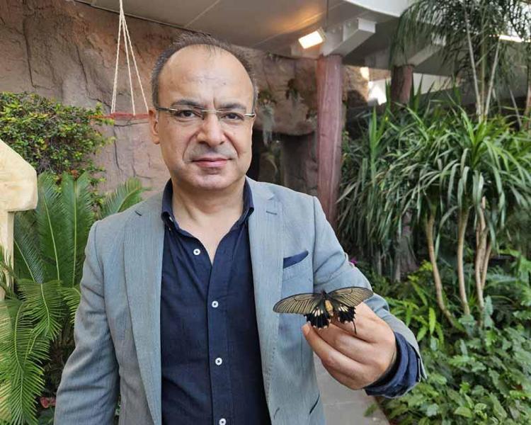 O ALEM YAĞMUR ORMANLARI ALEMİ