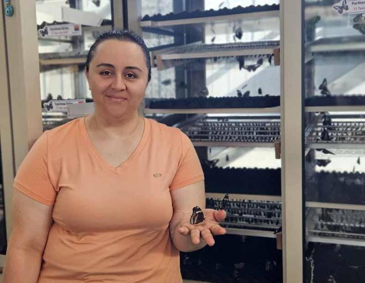 KELEBEKLERİN KRALİÇESİ