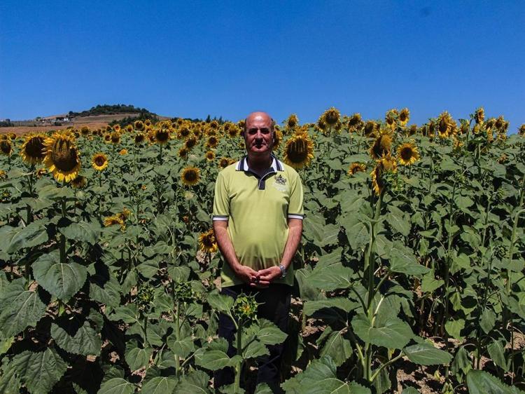 EKİM ALANLARININ GENİŞLETİLMESİ GEREKİYOR