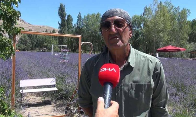 LAVANTA REKABETİ SEVMEYEN BİR BİTKİ, TEK TEK ELİMLE TEMİZLEDİM