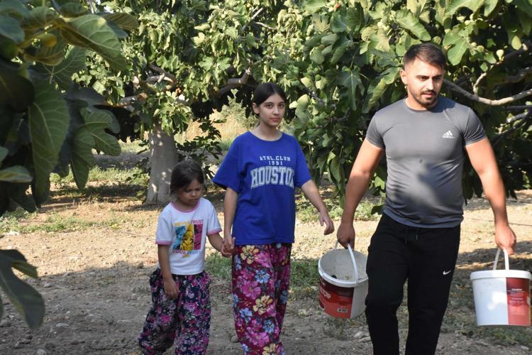 6 YAŞINDAKİ ÖYKÜ DE HASADA KATILDI