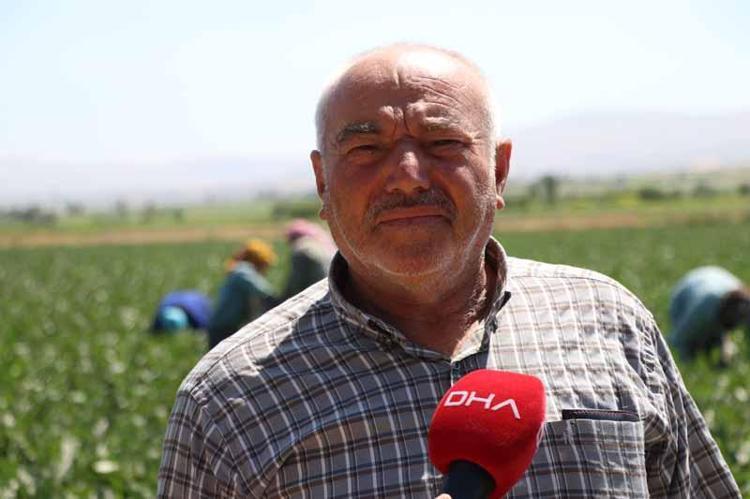 ‘BU SENE MAHSUL GÜZEL AMA VERİM AZ’