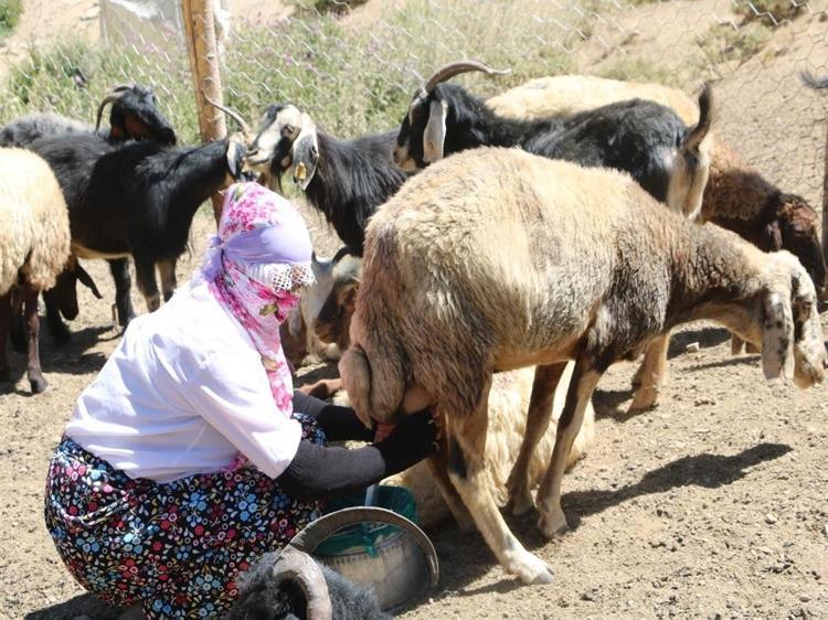 ‘YORGUNLUĞUMUZU HALAYLA GERİDE BIRAKIYORUZ’