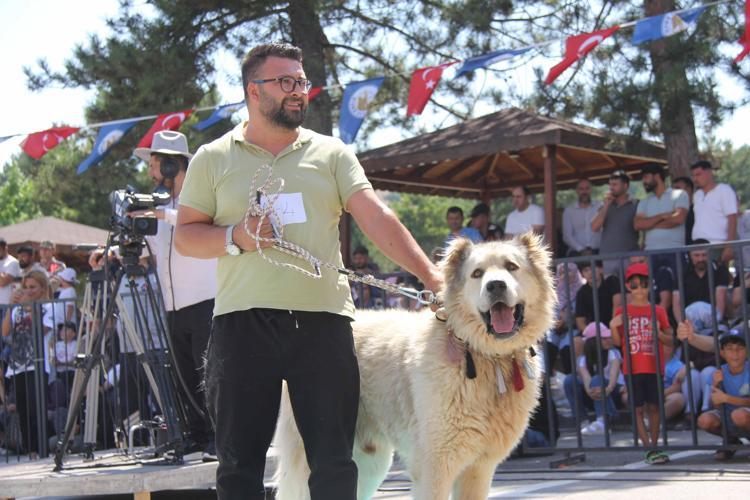 KANGAL KÖPEĞİ SİVASIN MARKALARINDAN BİRİ