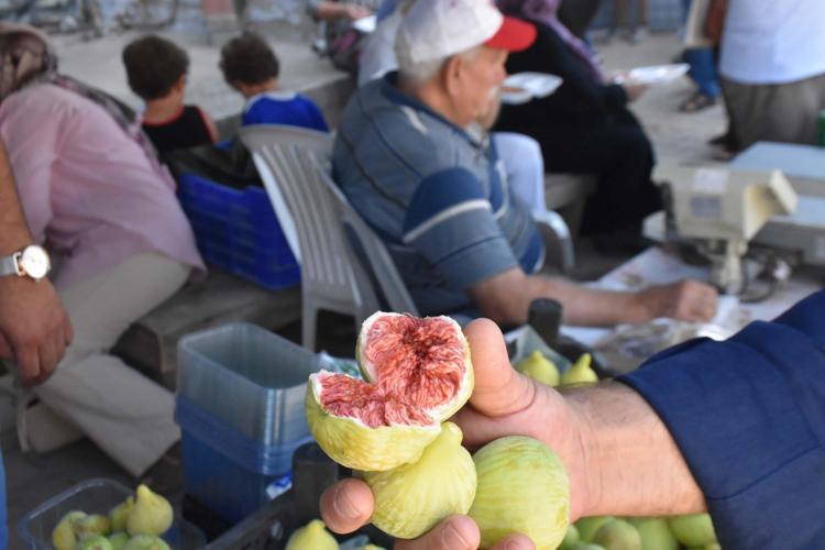 AVRUPAYA TAZE VE DONDURULMUŞ OLARAK İHRAÇ EDİLİYOR