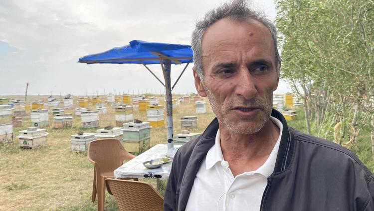 DOLUNUN SESİ ARILARI RAHATSIZ EDİYOR