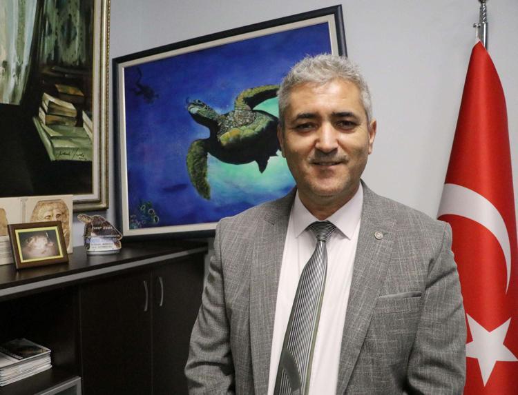 İNSANLARA VE TEKNELERE YAKLAŞABİLİRLER