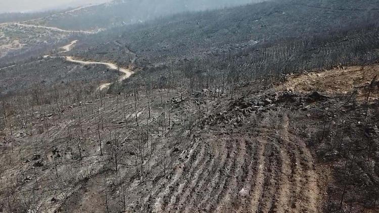 ‘BÜYÜK ÖNEM ARZ EDİYOR’