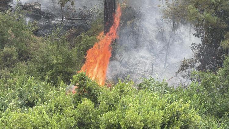 7-8 DERECEYE KADAR ARTIŞ
