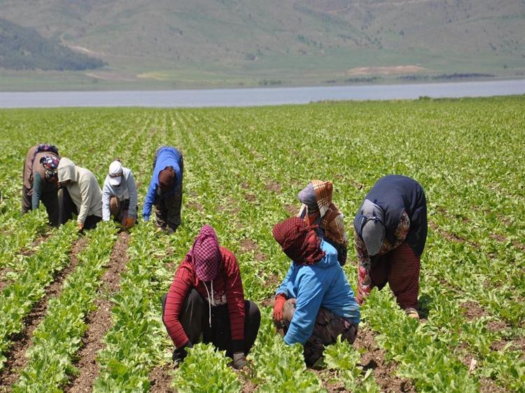‘İKLİM KRİZİNİN SOLUNUM SAĞLIĞINA ETKİLERİNİ ARAŞTIRACAĞIZ’