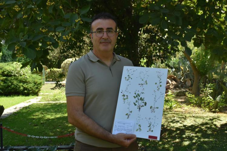 BÖLGEYE ÖZEL OLAN BİRÇOK ENDEMİK TÜR VAR