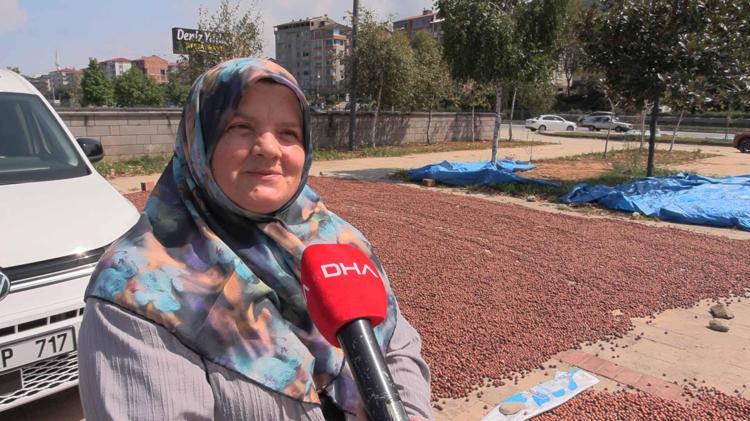 ‘FINDIĞI KÖYDE KURUTAMAYINCA SAHİLE GETİRDİK’