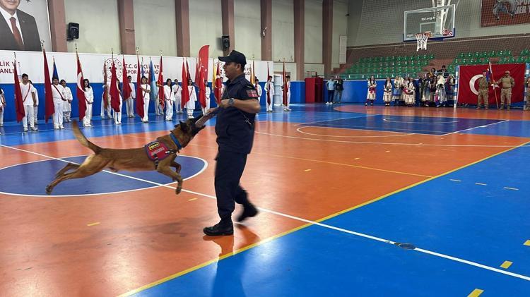 EĞİTİMLİ KÖPEK NEFES MEKİK VE ŞINAV ÇEKTİ