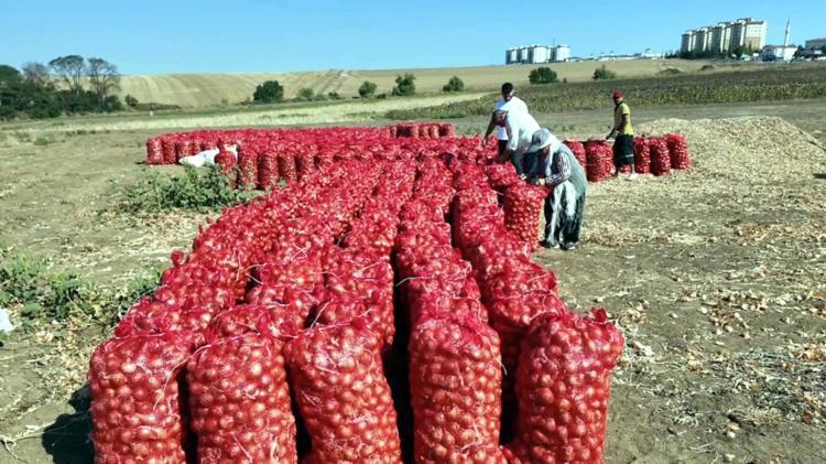 ÜRETMEK İSTEYENE TOHUM DESTEĞİ