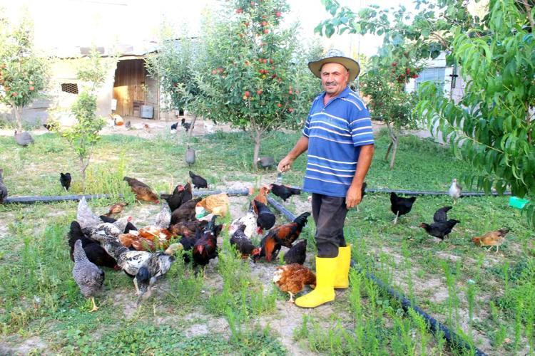 ‘ATA TOHUMLARINI ÇOĞALTMAK İSTİYORUZ’