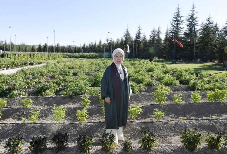 TARIMSAL BİYOÇEŞİTLİLİK MÜZESİNİ ZİYARET ETTİ