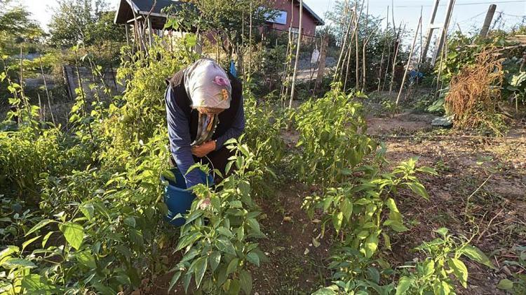 ‘RESİM YAPARKEN DÜNYAYI UNUTUYORUM’