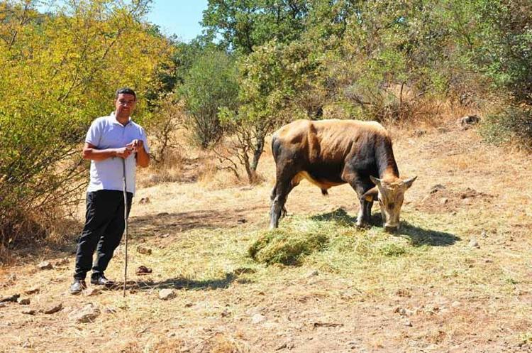 ‘2 AY YONCA VERİP, BESLEDİM’