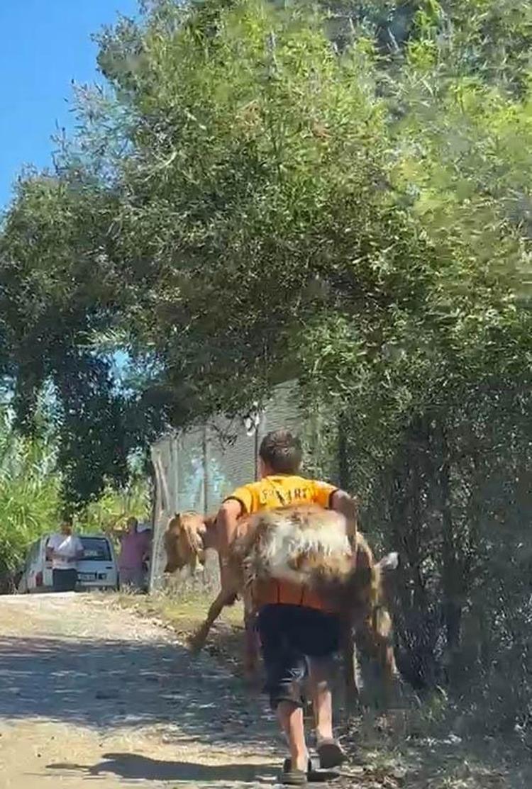 YARISINA KADAR O TAŞIDI, YARISINA KADAR BEN