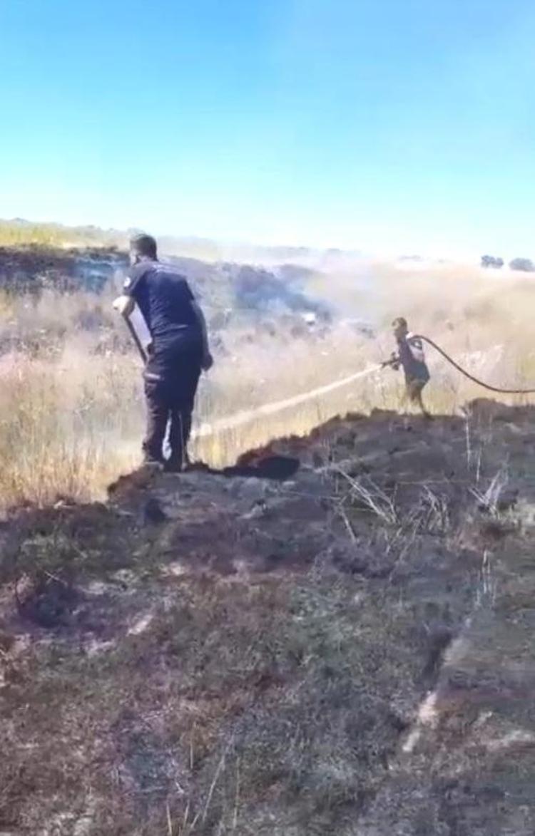 ALEVLERİN ARASINDAKİ KAPLUMBAĞA KURTARILDI