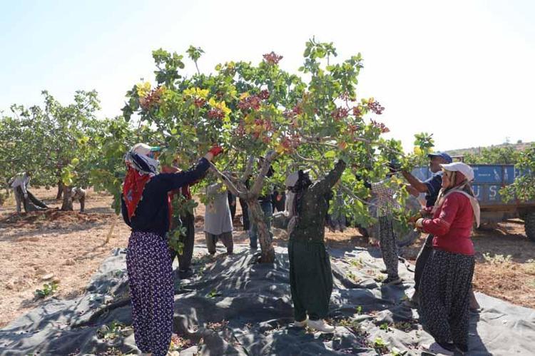 ‘ÇİFTÇİ 12 AY BEKLİYOR, ARACI 1 AYDA KAZANIYOR’