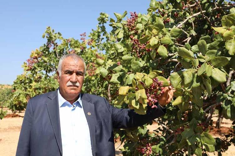 ‘ARADA YÜZDE 40 KAR VAR’