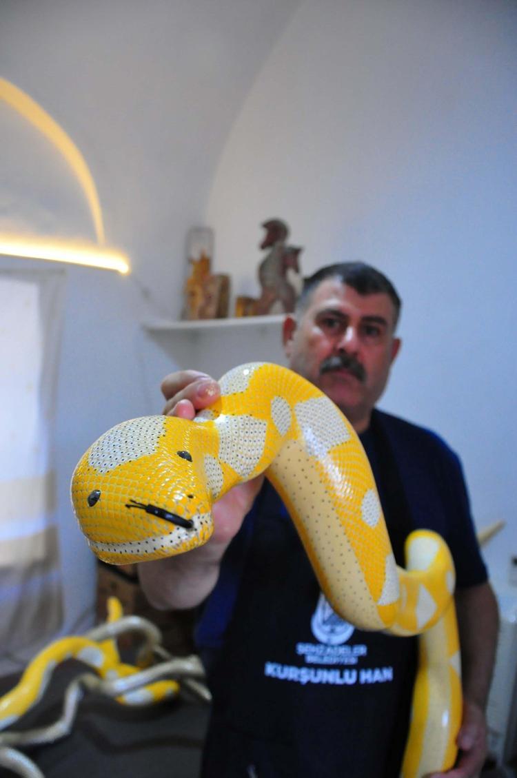 AĞAÇ DALLARINDAN PİTON YILANI