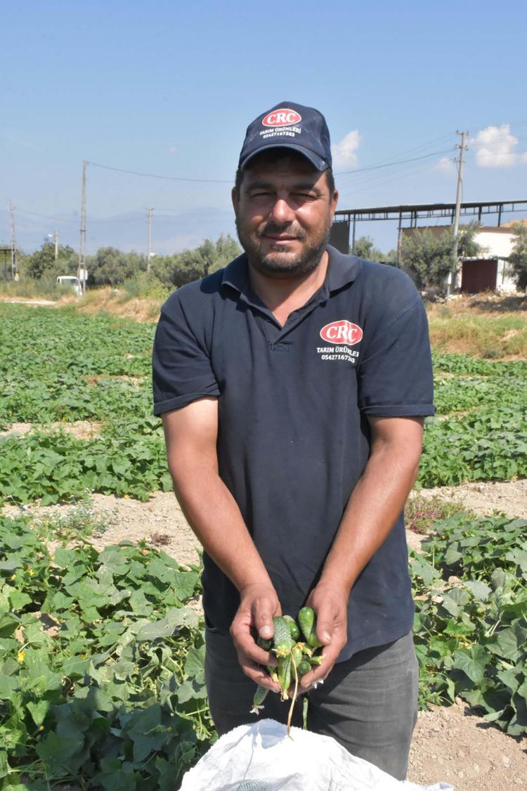 ÜRÜNÜMÜZ PAZARA, HALE VE FABRİKALARA GİDİYOR