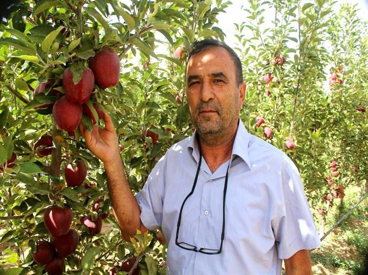 BAHÇELERİMİZİN VERİMİ BU SENE ÇOK GÜZEL