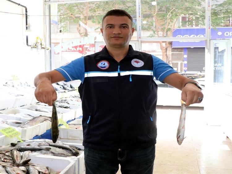 BALIKLARIN BOYU YÜZDE 30 UZADI